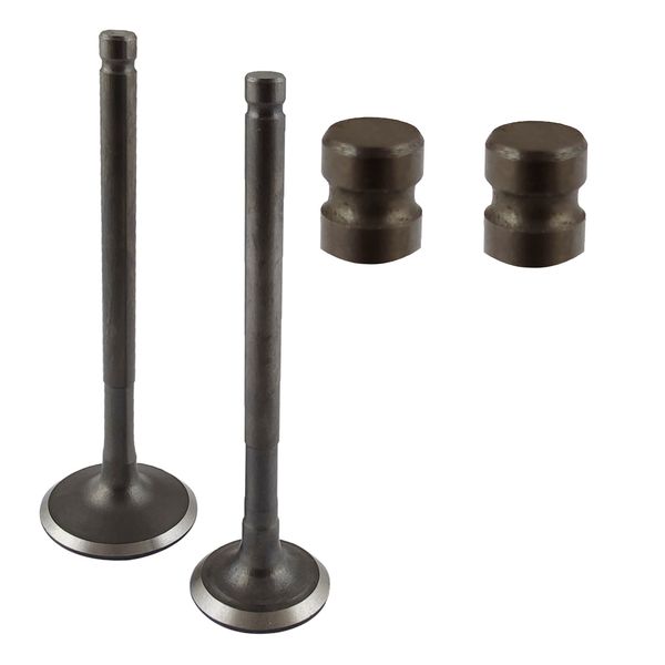 VALVULA ADMISION 25.5MM ESCAPE 21.1MM DQ PICO CORTO CB1 125