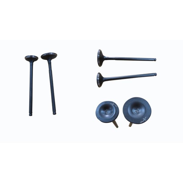 VALVULA ADMISION 27mm ESCAPE 22.5mm DQ PICO CORTO GNE151(2022)
