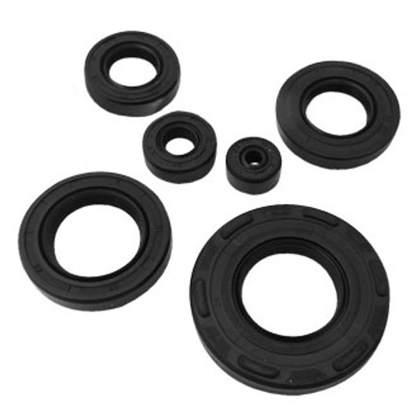 KIT DE RETENES (6P) TC26X52X7/8-TC25X40X8-TC20X37X8-TC16X30X8-TC12X22X9-16X8X5.5 AX100(2012)