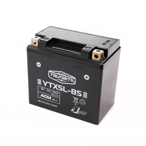 BAT 12V-5Ah (- +) (L113-A70-H106) YTX5L-BS (AGM)