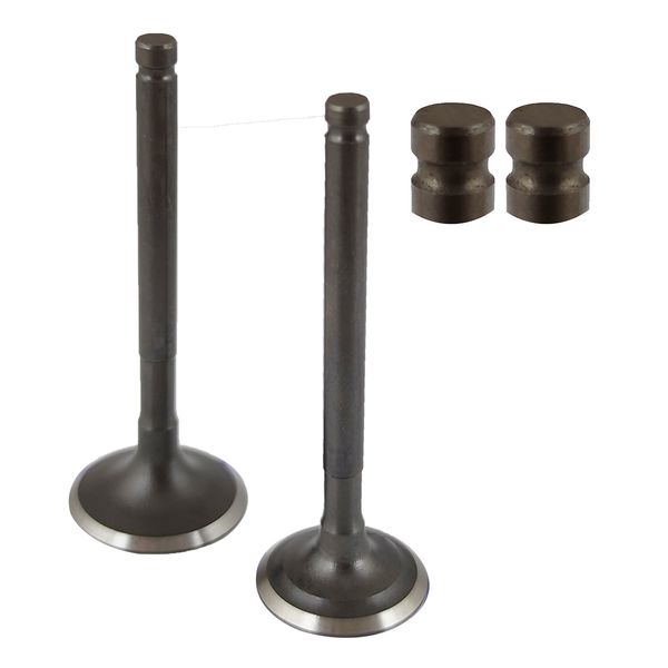 VALVULA ADMISION 24MM ESCAPE 21.5MM DQ PICO CORTO GY6125