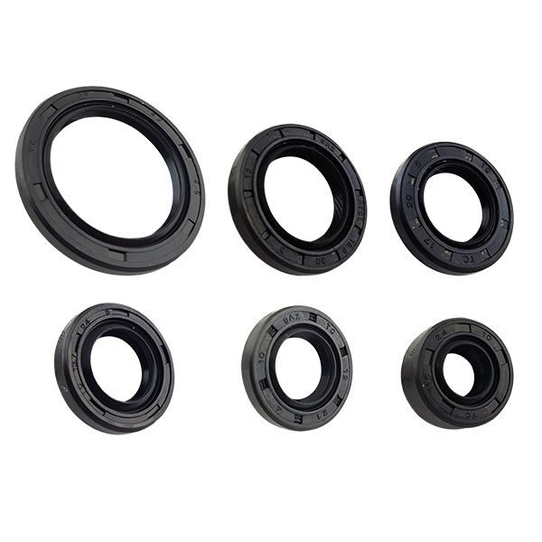KIT DE RETENES TC30X42X4.5-18.9X30X5-TC17X29X5-TC11.6X24X10-TC13.7X24X5-TC12X21X4 110CC
