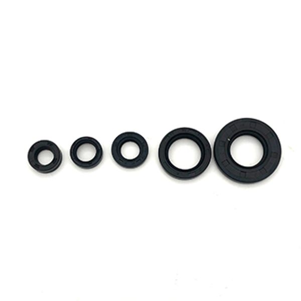 KIT DE RETENES (5P) TC20X38X5-SC20X30X5-TC12X21X4-12X18X5-TC10X18X6 YBR125Z(2016)