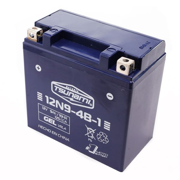 BAT 12V-9Ah (+ ) (L137-A76-H133) 12N9-4B-1 (GEL)
