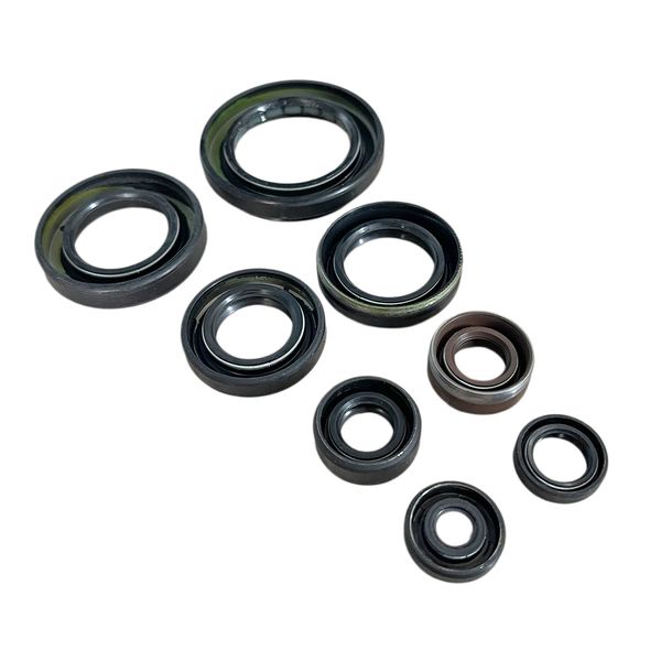 KIT DE RETENES (8PCS) 33X50X6.5-25X42X8-23X35X8-SD-19X33X6-12X22X9-SD12X22X9-19X7X4.80-11X18X5 KINGGS(2020) - INDIA